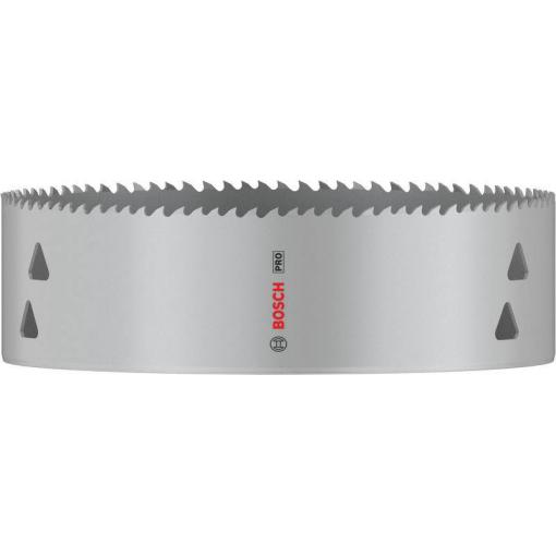 Bosch Accessories 2608901545 2608901545 vrtací korunka 168 mm 1 ks