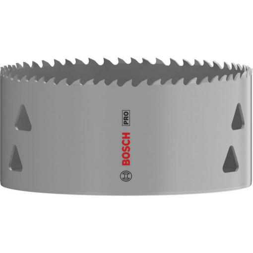 Bosch Accessories 2608901536 2608901536 vrtací korunka 108 mm 1 ks