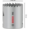 Bosch Accessories 2608901509 2608901509 vrtací korunka 43 mm silně legováno 1 ks