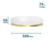 Philips 8720169301375 Hanno LED stropní svítidlo LED 24 W bílá, zlatá