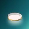 Philips 8720169301375 Hanno LED stropní svítidlo LED 24 W bílá, zlatá