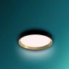 Philips 8720169301337 Hanno LED stropní svítidlo LED 24 W černá, zlatá