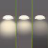 Philips 8720169300972 Fleta LED stropní svítidlo LED 10 W transparentní