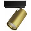 Philips Idris 8720169299177 stropní lampa GU10 zlatá