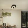 Philips Niall 8720169300156 stropní lampa GU10 černá, zlatá