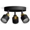 Philips Niall 8720169300156 stropní lampa GU10 černá, zlatá