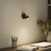 Philips Niall 8720169300071 stropní lampa GU10 černá, zlatá