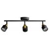 Philips Niall 8720169300118 stropní lampa GU10 černá, zlatá