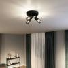 Philips Palms 8720169299351 stropní lampa E14 černá
