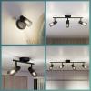 Philips Palms 8720169299351 stropní lampa E14 černá