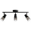 Philips Palms 8720169299313 stropní lampa E14 černá