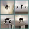 Philips Palms 8720169299337 stropní lampa E14 černá