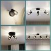 Philips Palms 8720169299290 stropní lampa E14 černá