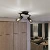Philips Palms 8720169299290 stropní lampa E14 černá