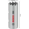 Bosch Accessories 2608901493 2608901493 vrtací korunka 19 mm 1 ks