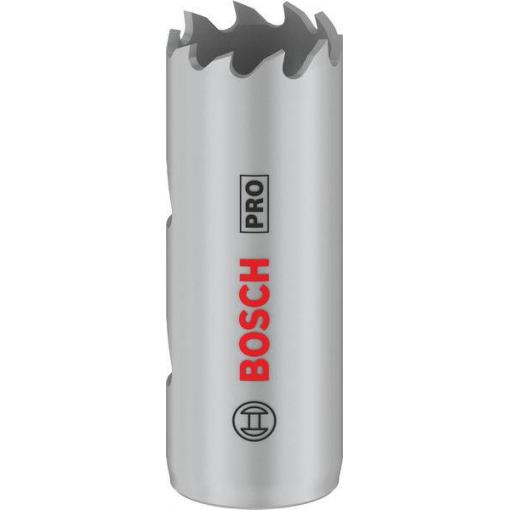 Bosch Accessories 2608901493 2608901493 vrtací korunka 19 mm 1 ks