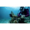 GoPro HERO13 Black Sportovní outdoorová kamera 5,3 K, 4K, 2,7K, Full HD, Bluetooth, duální displej, dotyková obrazovka, odolné proti prachu, odolné proti vodě,