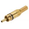 RS PRO Zástrčka RCA, orientace těla: Rovný, Zlatá, Černá, Kabel, pokovení: Zlatá 5A, materiál kontaktu: Mosaz, 50 V,