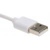 Roline Kabel USB Vnější, A: USB typu A, 1.8 m Vnější, Bílá, B: Lightning