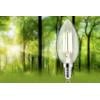 Paulmann 29195 LED Energetická třída (EEK2021) A (A - G) E14 svíčkový tvar 2.5 W teplá bílá (Ø x v) 35 mm x 98 mm 1 ks