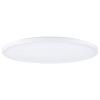 Paulmann Atria Shine 71192 LED stropní svítidlo 32 W teplá bílá, RGB bílá