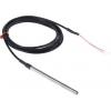 RS PRO PT100 6 mm 100 mm 4 Class B 250 °C