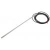 RS PRO PT100 6 mm 300 mm 4 Class B 250 °C