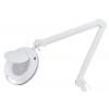 Zvětšovací lampa Stolní lampa LED 240 V ac RS PRO 125 mm 125 mm