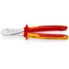 Splňuje normu VDE/1000V, celková délka: 250 mm, Z více komponent, číslo modelu: Knipex Knipex