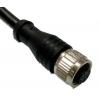Kabel ovladače snímače, A: Vnitřní, A: Rovný 12, B: Volný konec, B: Neuzavřený, 30V, IP67, řada: CBF RS PRO 2 m