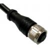 Kabel ovladače snímače, A: Vnitřní, A: M12 12, B: Volný konec, B: Neuzavřený, 30V, IP67, řada: CBF RS PRO 2 m
