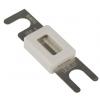 Automobilová pojistka 160A Bílá SIBA 80V dc