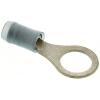 Očková koncovka, řada: PIDG, pokovení: Cín, M8, Modrá, 105 °C, min. AWG: 16 AWG, max. AWG: 14 AWG, Izolované, TE