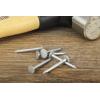 RS PRO Hřebík, délka: 30 mm, Galvanizovaný Cvočkový hřebík 2.65 mm 500 g