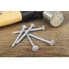 RS PRO Hřebík, délka: 50 mm, Galvanizovaný Cvočkový hřebík 3.35 mm 500 g