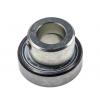 RAE17-XL-NPP-FA106 INA