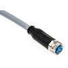 Kabel ovladače snímače, A: Vnitřní, A: M8, Rovný 4, B: Bez koncovky, 60V 4, IP65, IP66K, IP67 SICK 5 m