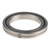 IKO Nippon Thompson 100 mm OD