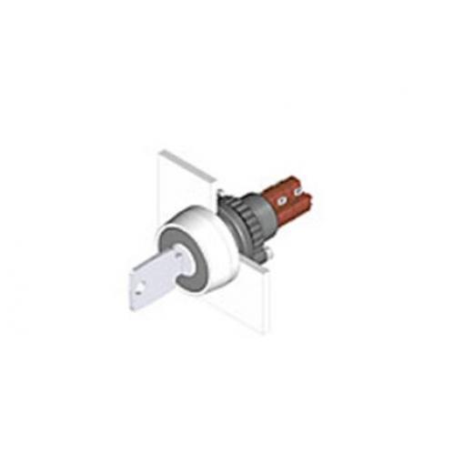 EAO Spínač s klíčem IP67 2 NO/2 NC 5 A 2 pozic 55 °C -25 °C