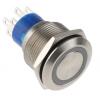 RS PRO Tlačítkový spínač, řada: MPB22 IP67 DPDT Panel Okamžité Osvětlené 22.2 mm 5 A, barva LED: Zelená 12 V dc 250 V ac