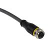 Kabel ovladače snímače, A: Vnitřní, A: M12, Rovný 5, B: Bez koncovky, 60V, IP67, řada: RKS4 Turck 2 m
