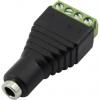 RS PRO Konektor jack, Kabel, Adaptér konektoru, Pájecí Vnitřní, 3.5 mm 4 5A, orientace těla: Rovný, 12 V dc