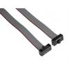 Páskový kabel, řada: FFSD Plochý Samtec 10 1.27 mm 304.8 mm