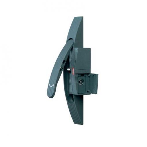 Zamykací rukojeť, Polyamid Černá RAL 7011 Otočný Schneider Electric