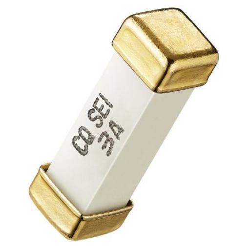 Neresetovatelná pojistka 0.5A RS PRO 250V