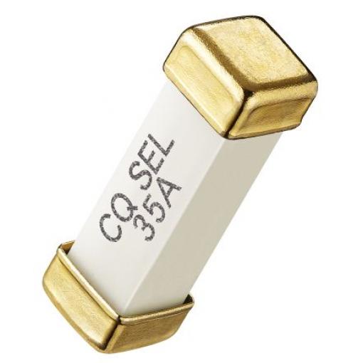 Neresetovatelná pojistka 30A RS PRO 250V