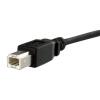 StarTech.com Kabel USB do zásuvky IC Vnější, A: USB typ B, 300 mm Vnitřní, Černá, B: USB B