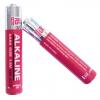Baterie AAAA 1.5 V Alkalické LR8D425 600 mAh RS PRO