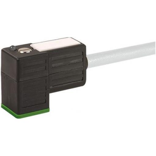 Murrelektronik Limited
