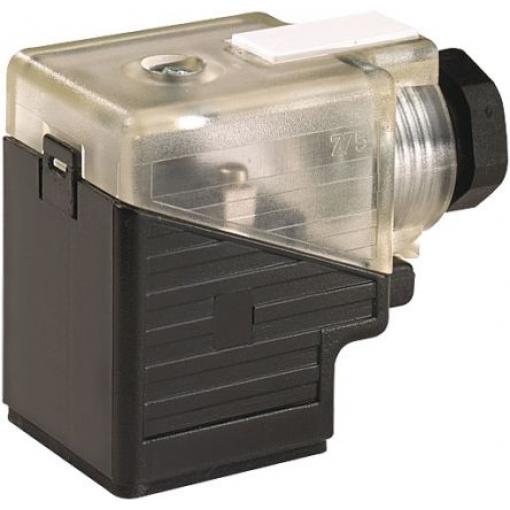 Murrelektronik Limited Konektor pro solenoidy podle normy DIN 43650